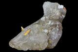 Wulfenite On Cerussite Crystal - Morocco #68213-1